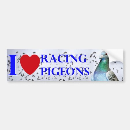 I Love Racing Pigeons Bumper Sticker