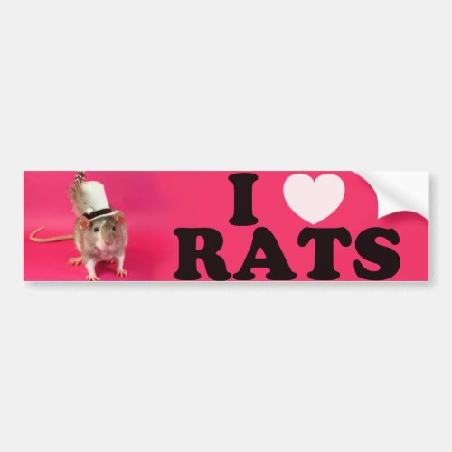 I love Rats in hat Bumper Sticker