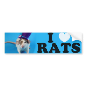 I love Rats (in hat) Bumper Sticker