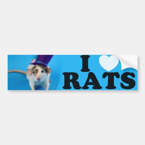 I love Rats in hat Bumper Sticker