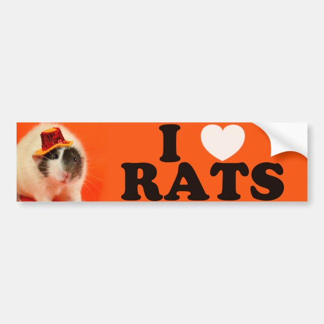 I love Rats (in hat) Bumper Sticker (Front)