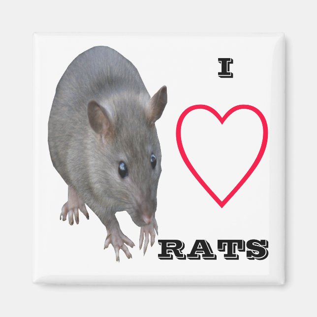 I Love Rats Magnet (Front)
