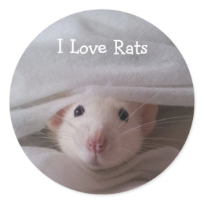 I Love Rats Stickers