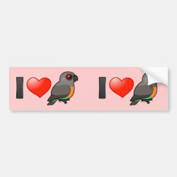I Love Red-bellied Parrots Bumper Sticker