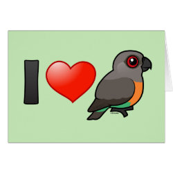 I Love Red-bellied Parrots Greeting Card