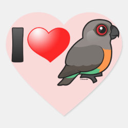 I Love Red-bellied Parrots Heart Sticker
