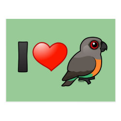 I Love Red-bellied Parrots Postcard