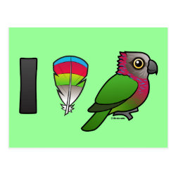 I Love Red-fan Parrots Postcard