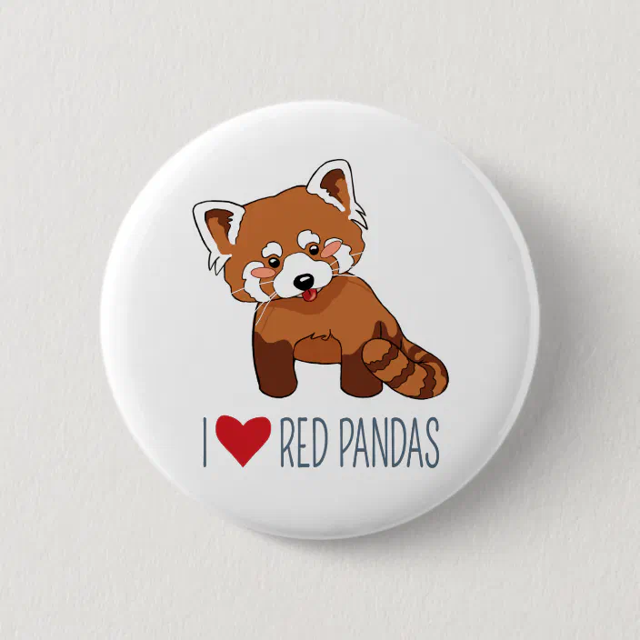 I Love Red Pandas Cartoon Red Panda Pinback Button Zazzle Com