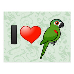 I Love Red-shouldered Macaws Postcard