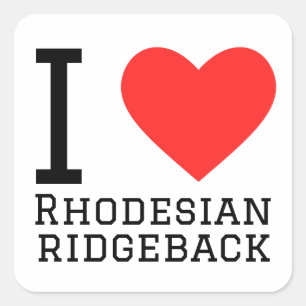 I love Rhodesian ridgeback Square Sticker