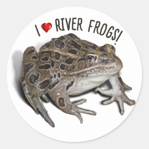 I Love River Frogs Classic Round Sticker