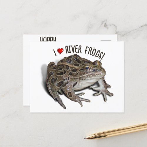 I Love River Frogs Postcard