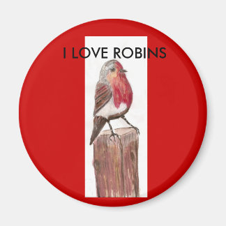 , I LOVE ROBINS Magnet
