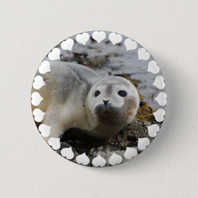 I Love Seals Pinback Button (Front)