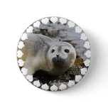 I Love Seals Pinback Button