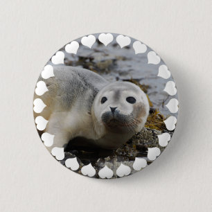 I Love Seals Pinback Button