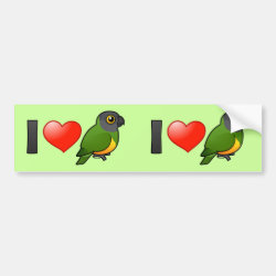 I Love Senegal Parrots Bumper Sticker