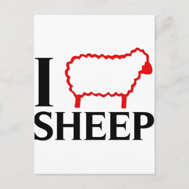 I Love Sheep Postcard (Front)