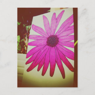I Love Snailmail - Sunflower Postcard