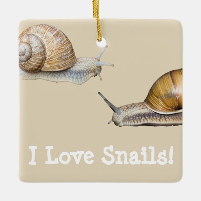 I Love Snails Snail Design Ceramic Ornament (Front)