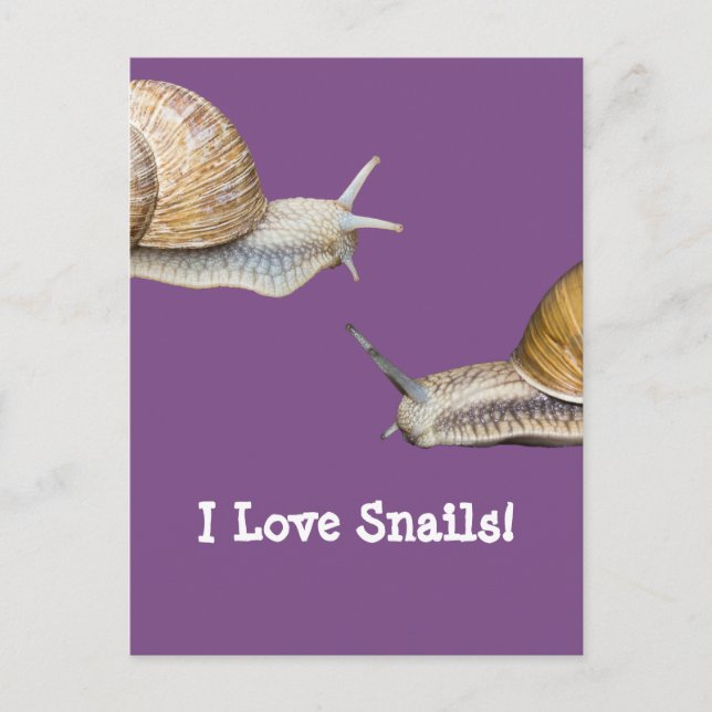 I Love Snails Snail Design Postcard (Front)