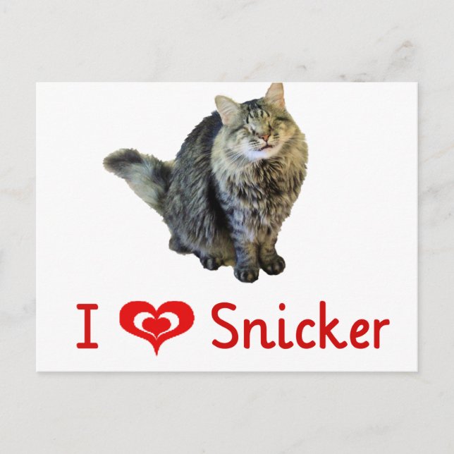 I love Snicker Postcards (Front)