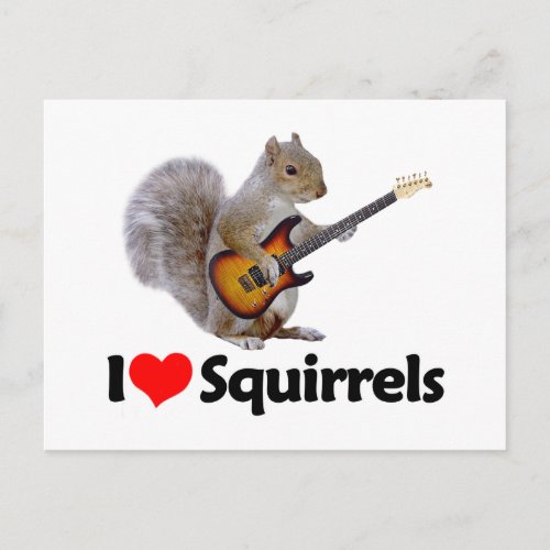 I Love Squirrels Postcard