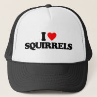 I LOVE SQUIRRELS
