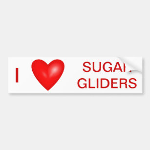 I Love Sugar Gliders Bumper Sticker