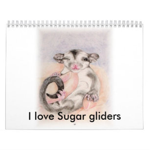 I love Sugar gliders calender Calendar