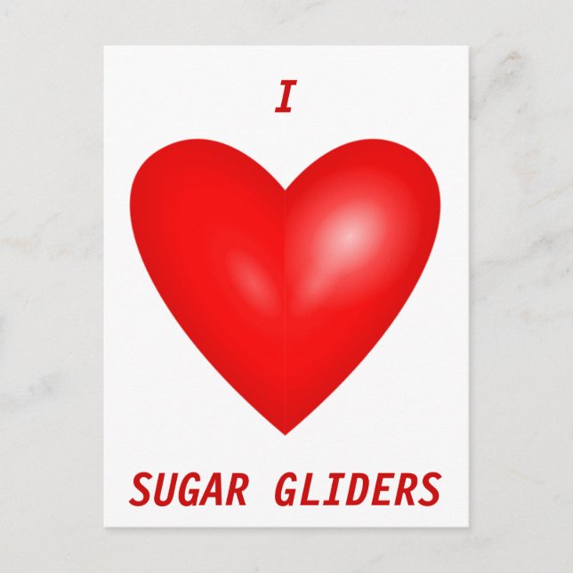 I Love Sugar Gliders Postcard (Front)