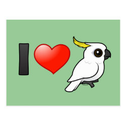 I Love Sulphur-crested Cockatoos (crest down) Postcard