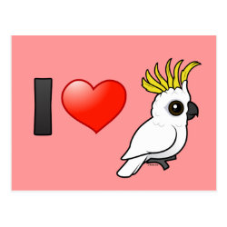 I Love Sulphur-crested Cockatoos (crest up) Postcard