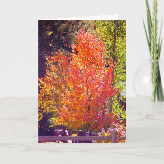 I Love the Fall Card (Front)