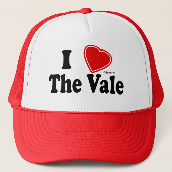 I Love The Vale Mesh Hat