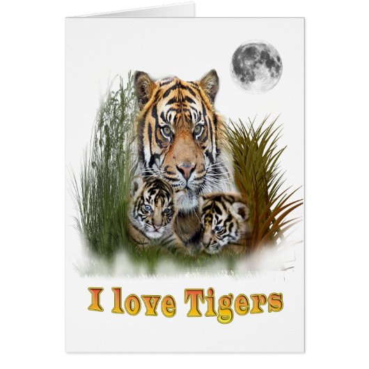 I love Tigers (Front)