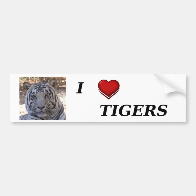 I Love Tigers Bumper Sticker (Front)