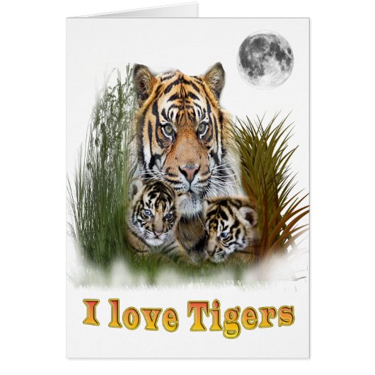 I love Tigers Cards (Front)
