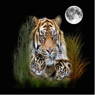 I love Tigers Cutout