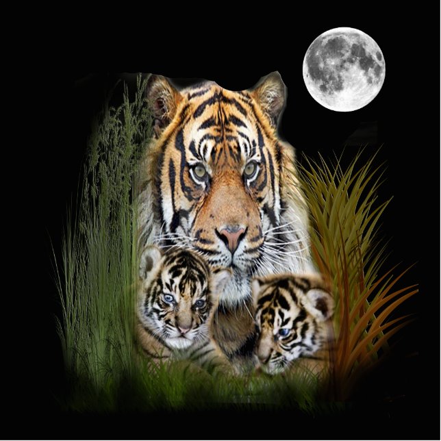 I love Tigers Cutout (Front)