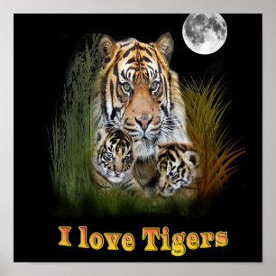 I love Tigers Poster
