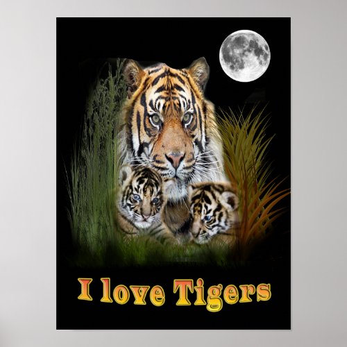 I love Tigers Poster