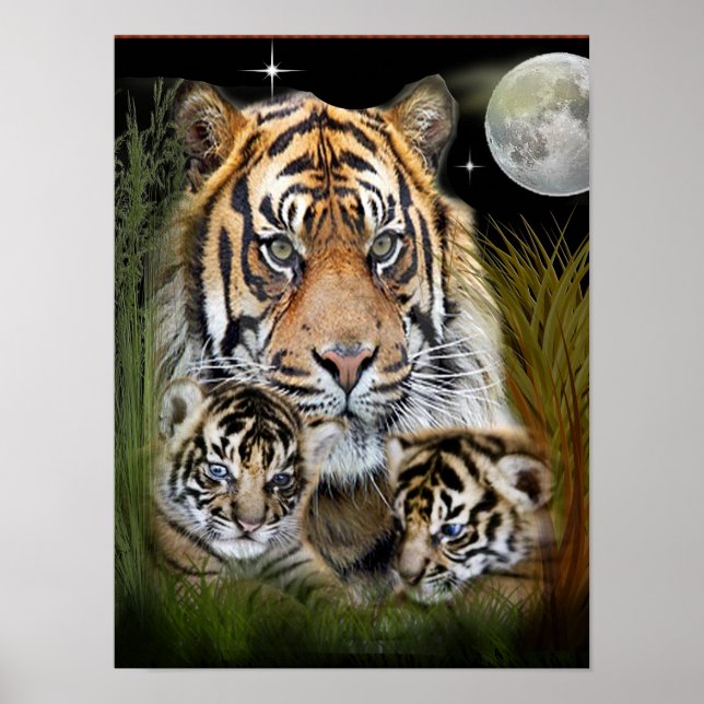 I love Tigers Poster (Front)