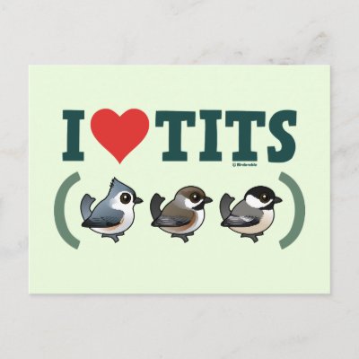 I Love Tits (birds) Postcard
