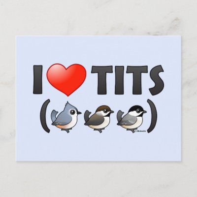 Funny I Love Tits Tees & Gifts with Cute American Birds