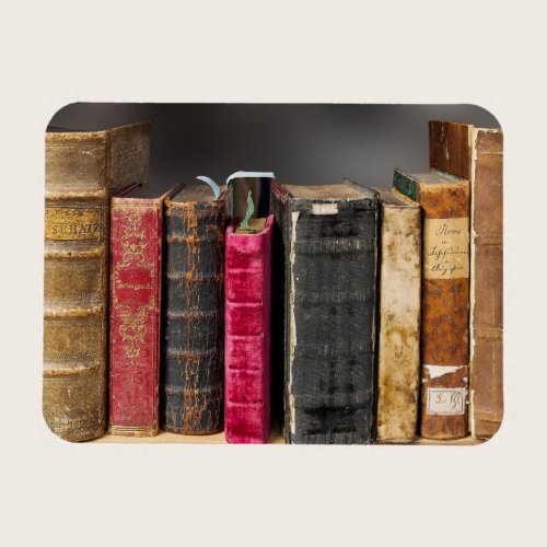 I Love to Read, Antique Vintage Books  Magnet