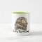 I Love Tortoises mug
