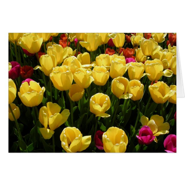 I Love Tulips! Cards (Front Horizontal)