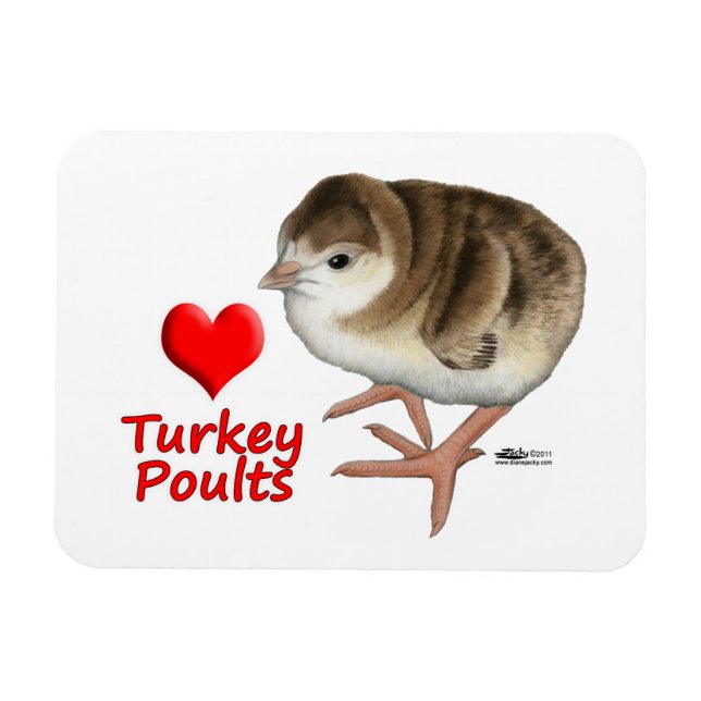 I Love Turkey Poults! Magnet (Horizontal)